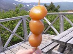 20090614_14.JPG