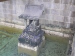 20090620_16.JPG