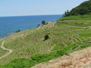 20110619_10.jpg
