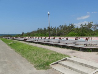 20110619_12.jpg