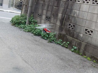 20110703_3.jpg
