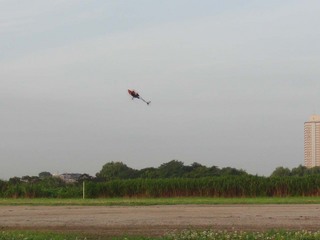 20110808_1.jpg