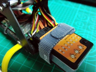 20110913_1.jpg
