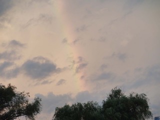 20110917_1.jpg