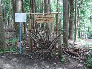 20120715_19.JPG