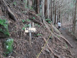 20120715_21.JPG
