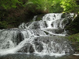 20150905_4.jpg